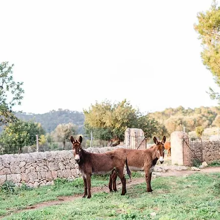 Es Cabas 3* Santa Maria del Cami (Mallorca)