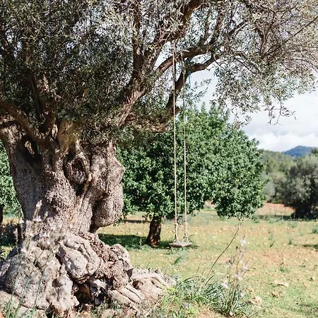 Es Cabas Guest house Santa Maria del Cami (Mallorca)